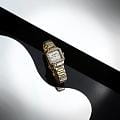 Karl Lagerfeld R0553102501