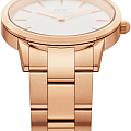 Часы Daniel Wellington Iconic Link DW00100209 фото 3