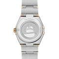 Omega 13125286060001