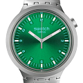 Часы Swatch Big Bold Irony Standard SB07S101G