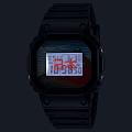 Casio DW-5600KHG25-1