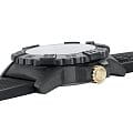 Luminox XS.3508.GOLD