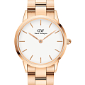 Часы Daniel Wellington Iconic Link DW00100209