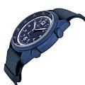 Hamilton H80495845