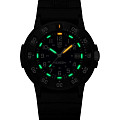 Часы Luminox Original Navy SEAL XS.3003.EVO.S фото 12
