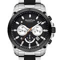 Часы Quantum PWG673.350
