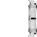 Часы Daniel Wellington Iconic Link DW00100534 фото 5